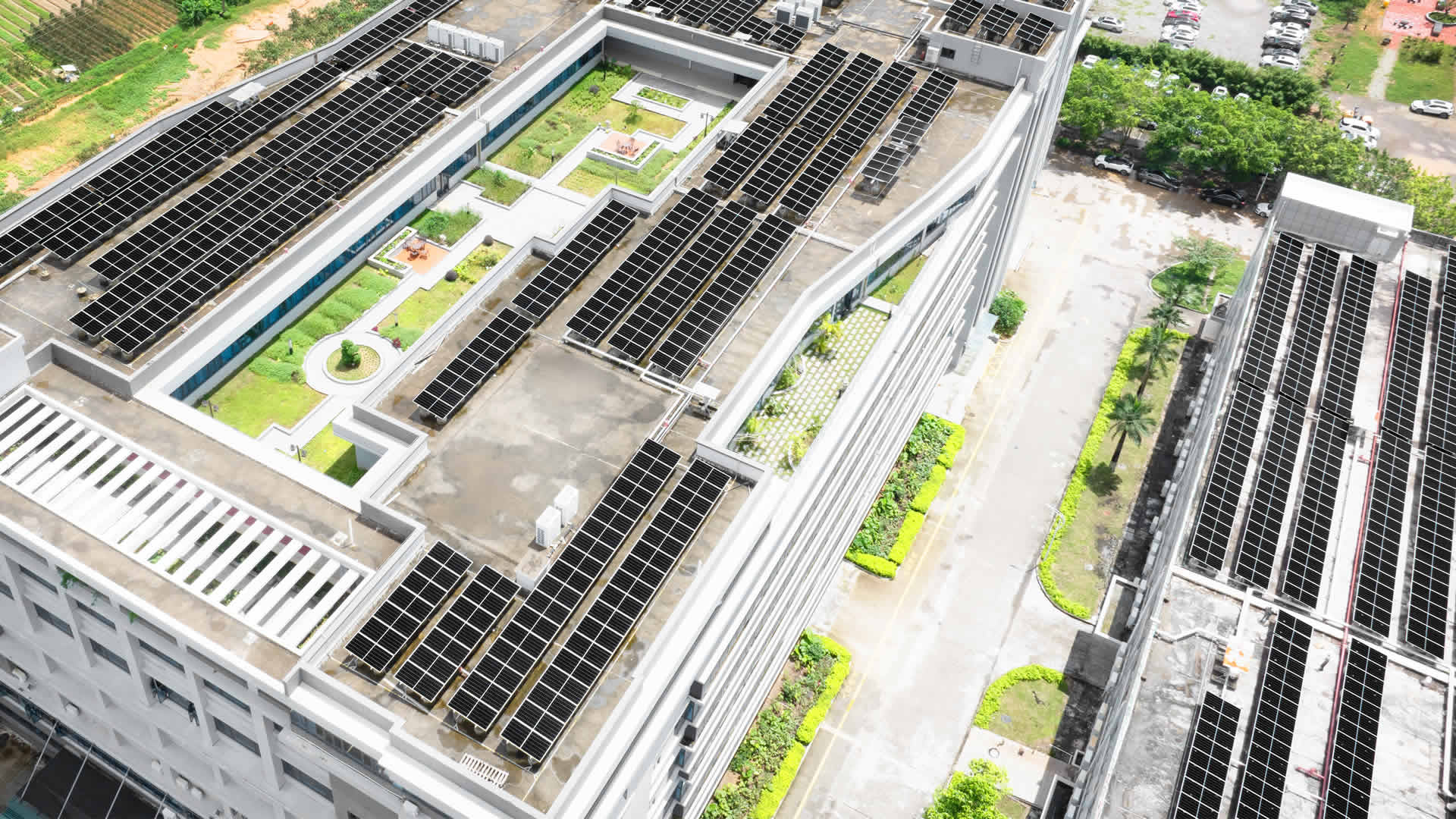 珠；；；诳萍及咐