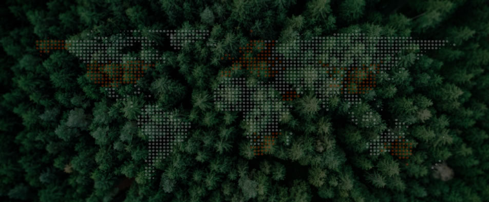 bifa必发全球零碳案例