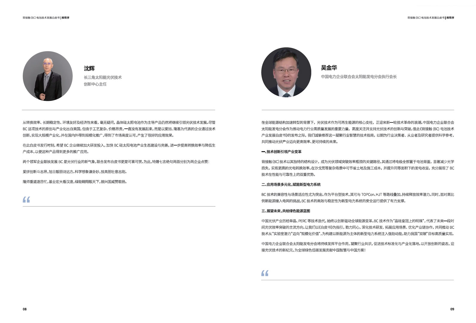 背接触（BC）电池手艺生长白皮书